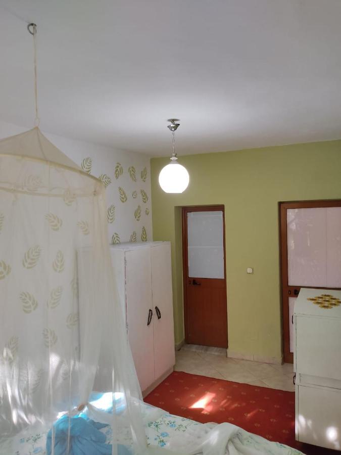 Private Apartment Elbasan Historic Center Exteriér fotografie